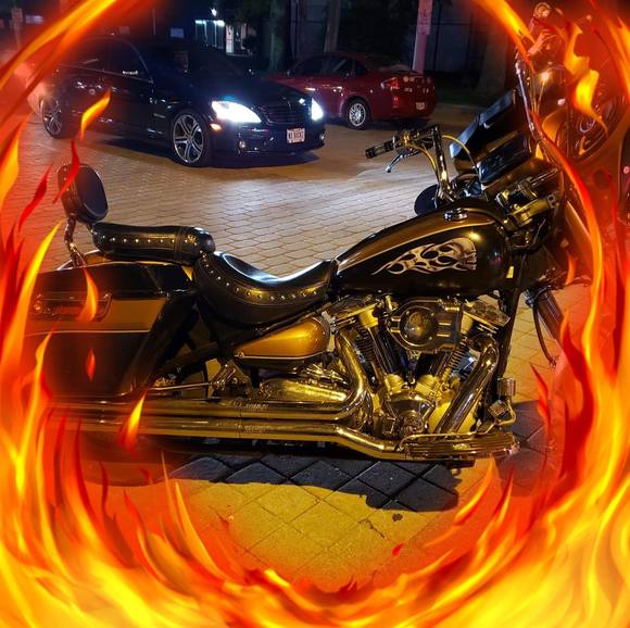 Meet your Posher, Ricky - Picture 1 of 1